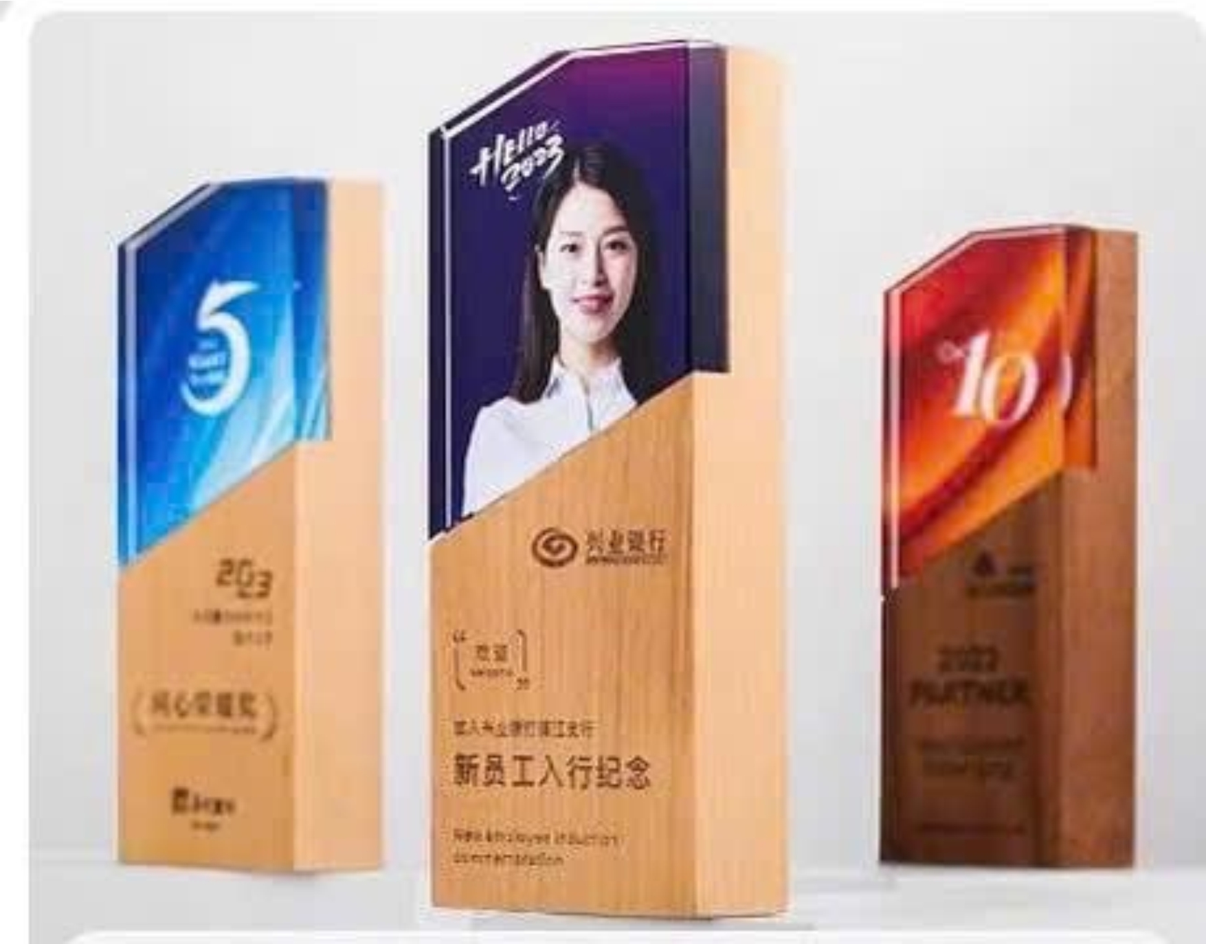 biểu trưng phôi gỗ 